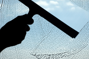 Logandale window cleaning services